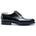 Black Leather Davero Derby Shoes
